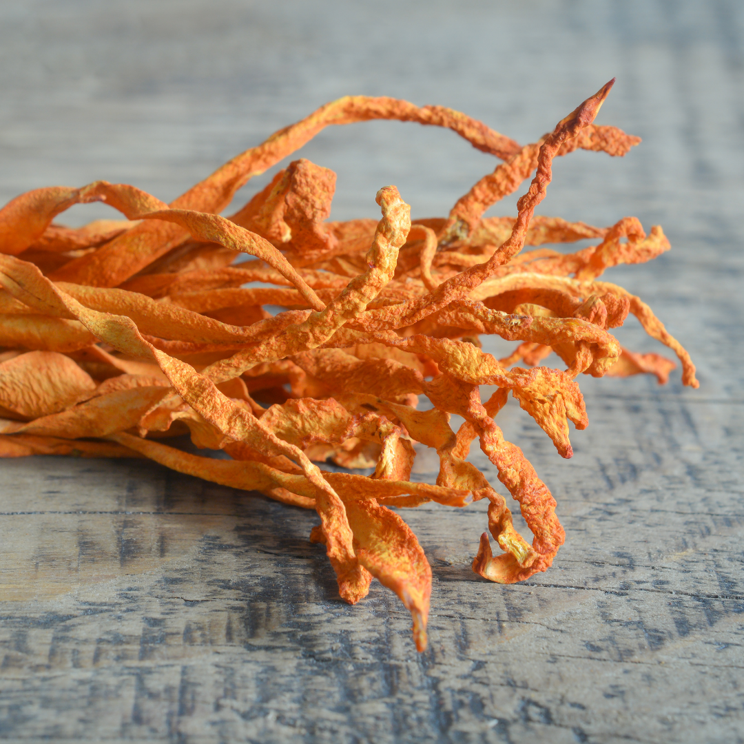 Tres razones por las cuales no puedo vivir sin el hongo Cordyceps. Y tú tampoco deberías…