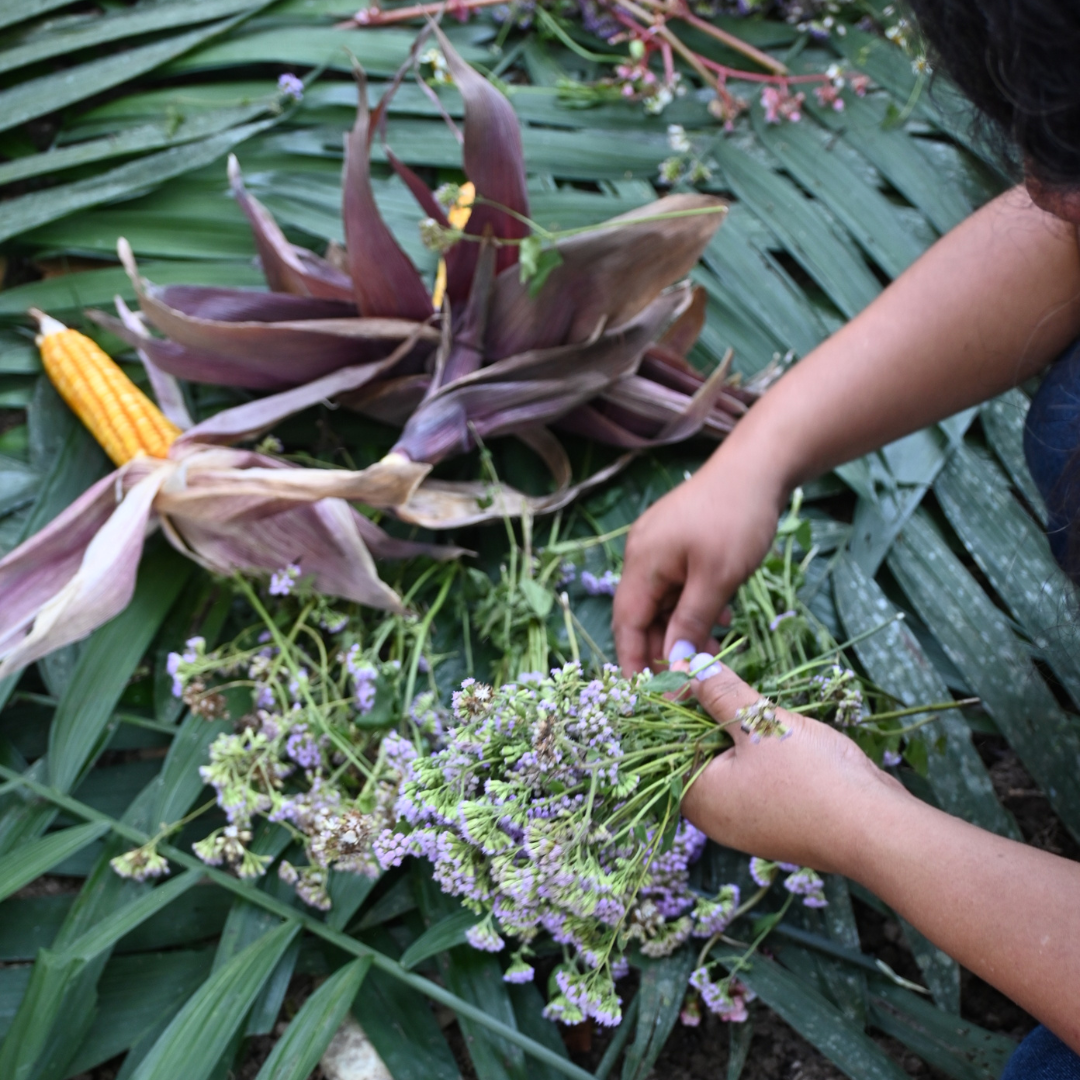 Gracias naturaleza por sostener nuestra vida