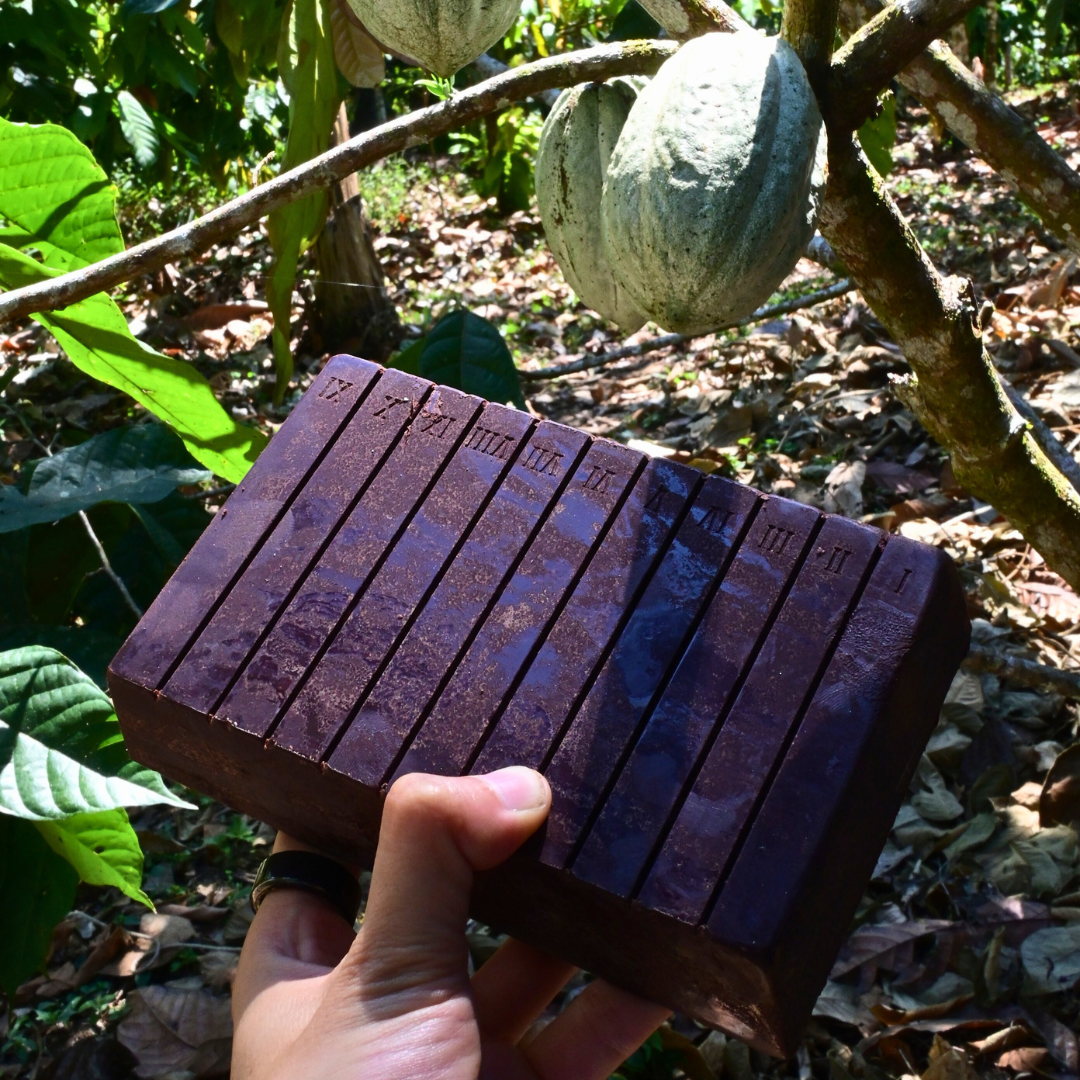 4 Razones por las cuales amamos tanto al cacao (y tu deberías también)