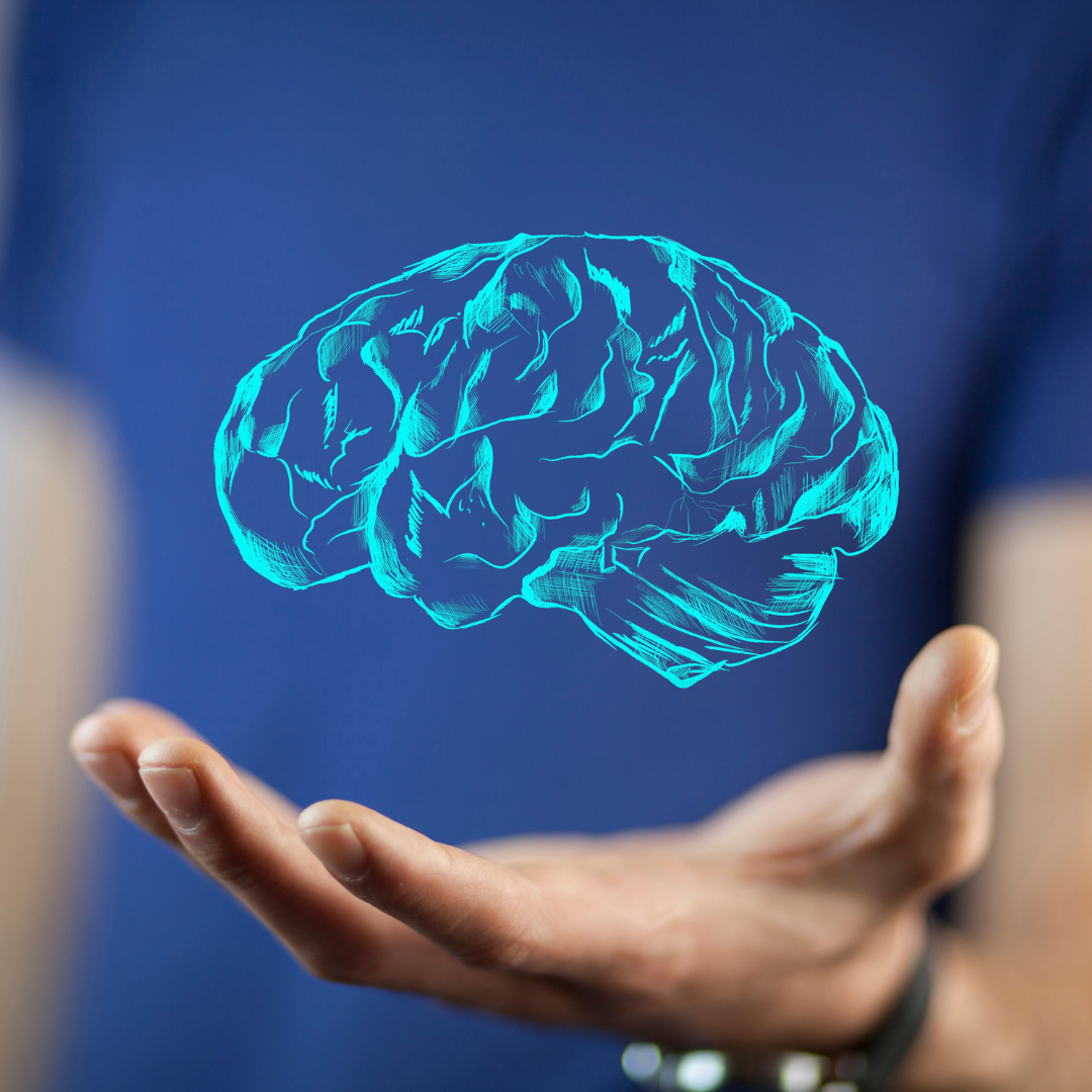 Transforma tu cerebro con estos alimentos