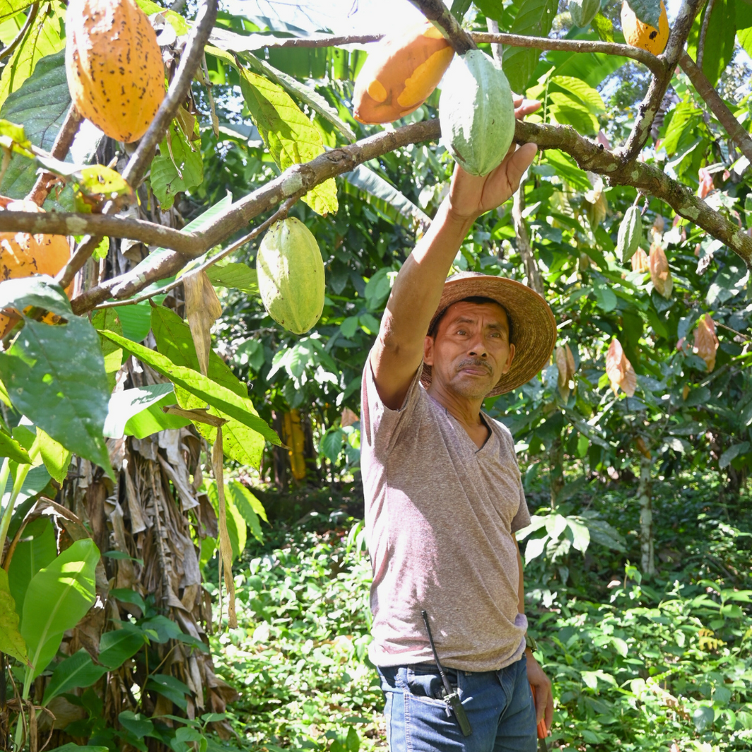 ¿Qué es la agricultura regenerativa y porqué es importante?