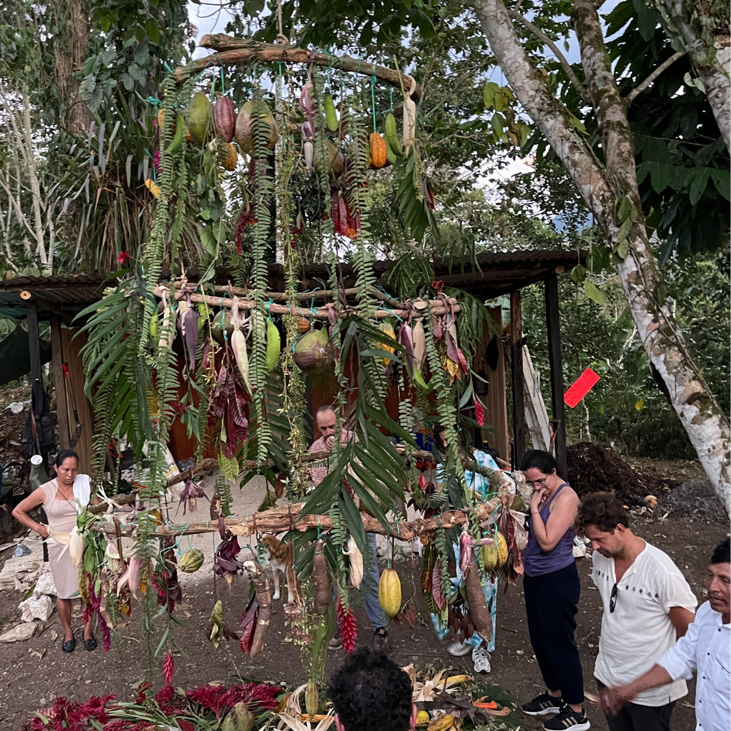 Guardianes de la Tierra: Lo que los pueblos indígenas nos enseñan